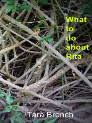 cover image of What To Do about Rita